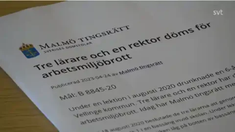 Drunkningsolyckan I Falsterbo Tre Lärare Och En Rektor Döms För 6 årig Pojkes Död Svt Nyheter.mp4