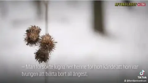 2022 12 28 093323492.mp4