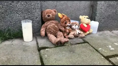 295103859 392694539619126 2374311935910613594 N.mp4