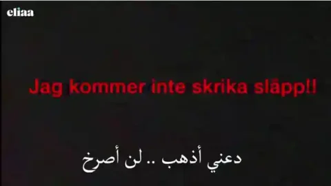 313431771 469937528312594 7138793782379032905 N.mp4