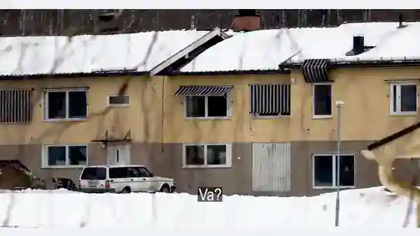 3258143732 (online Video Cutter.com).mp4