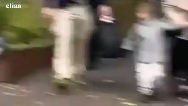 7166633801773272322.mp4