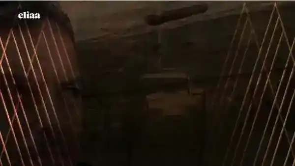 7209837032623918342.mp4