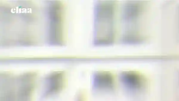 7217703887959084289.mp4