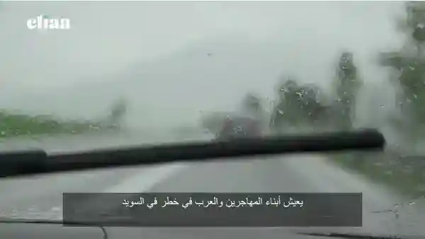 7221663508050627842.mp4