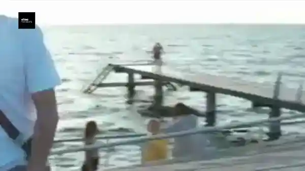 7242804449138216218.mp4