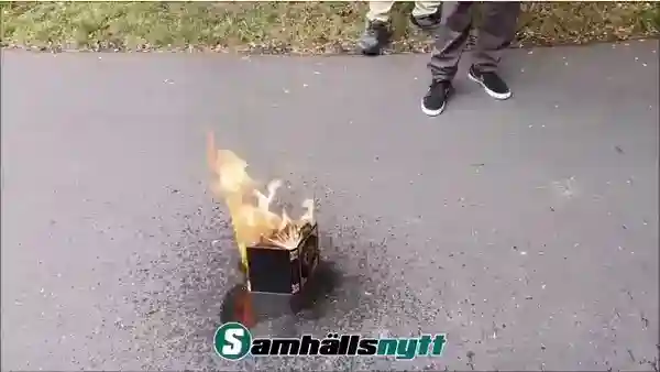 908283021933.mp4